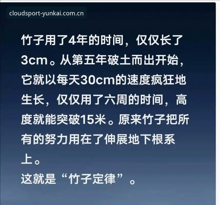 云开体育平台玩法丰富评测与使用教程 v2.0.3版本深度解析